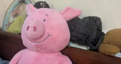 #499 Looking around with awe