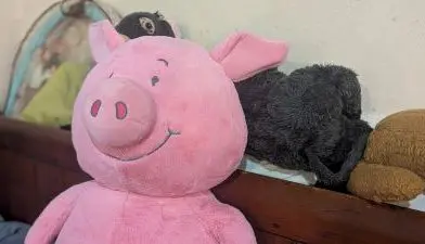 #499 Looking around with awe