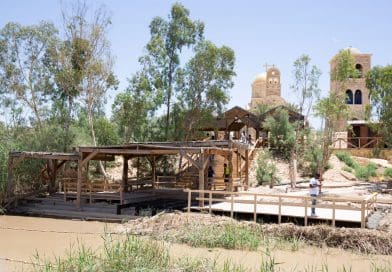 #504 While the Cat’s Away