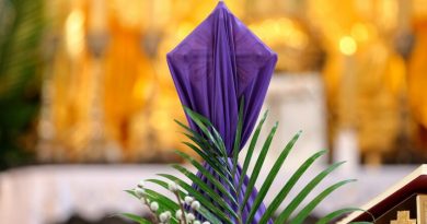 #514 The veils are on