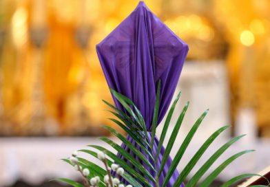 #514 The veils are on