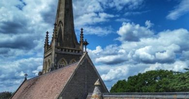 #520 In which the Rector rejoices
